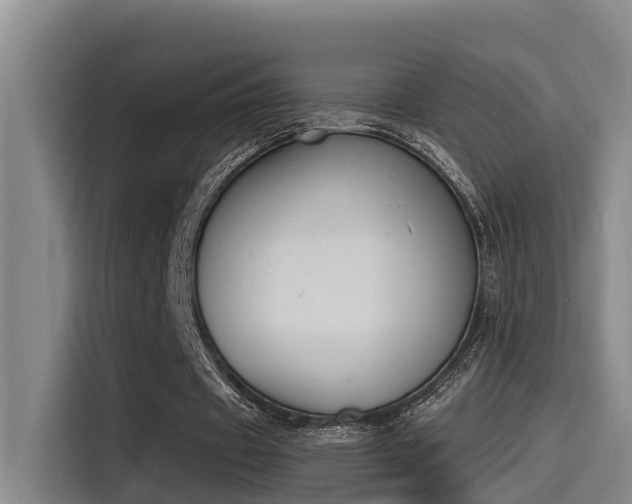 X0000115250433200911061221