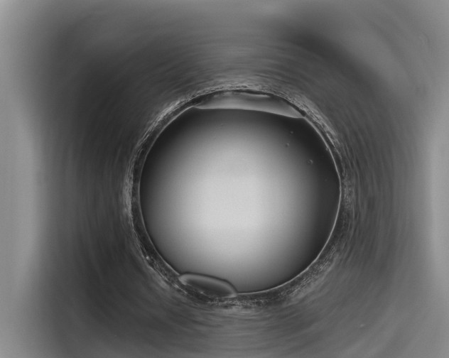 X0000115250434200911061221