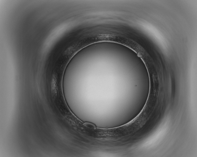 X0000115250435200911061221