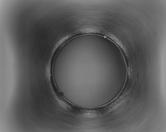 X0000115250438200911061222
