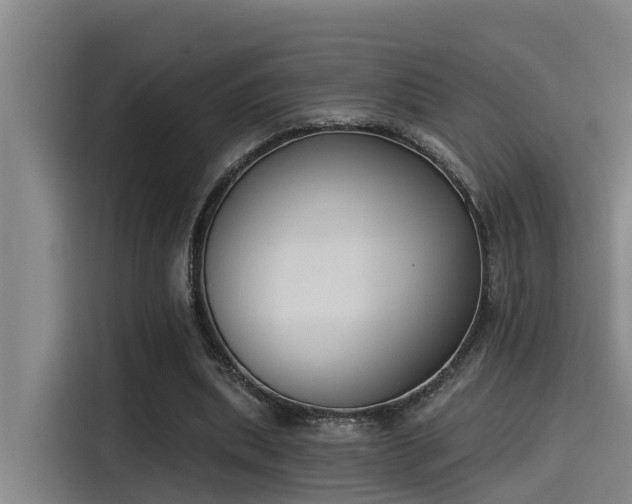 X0000115250439200911061222