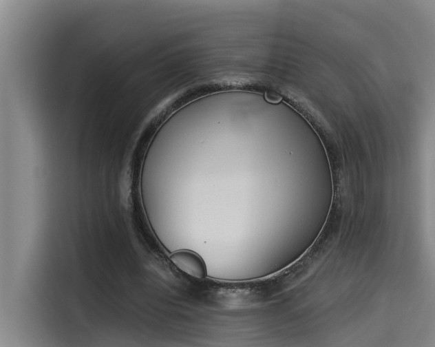 X0000115250440200911061222