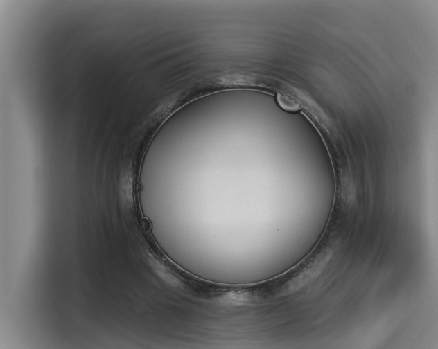 X0000115250441200911061222