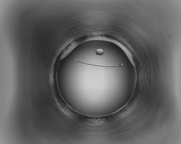 X0000115250443200911061222