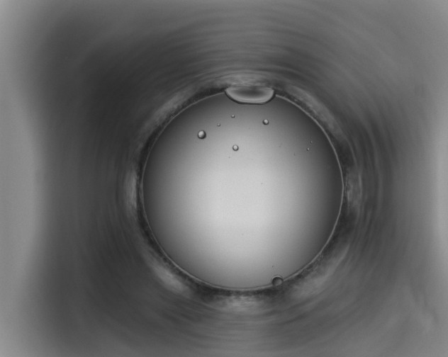 X0000115250445200911061222