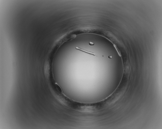 X0000115250448200911061222