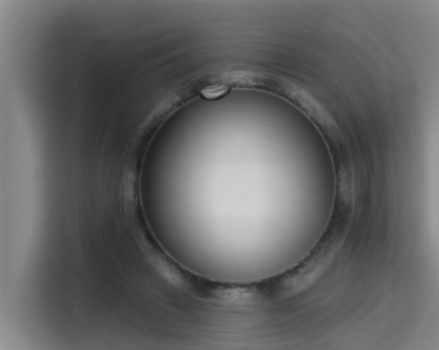 X0000115250449200911061222