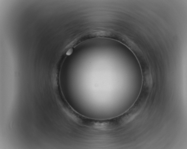 X0000115250450200911061222