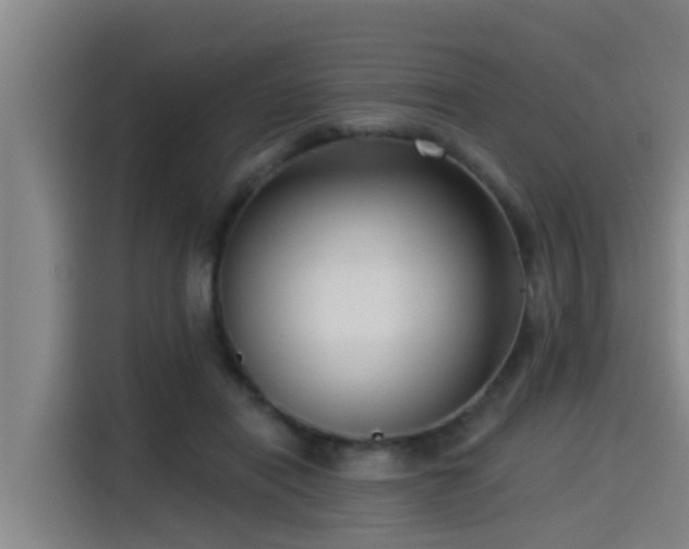 X0000115250454200911061222