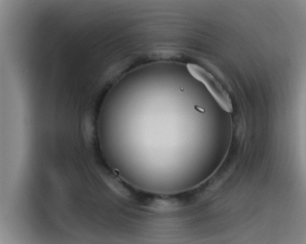 X0000115250455200911061222