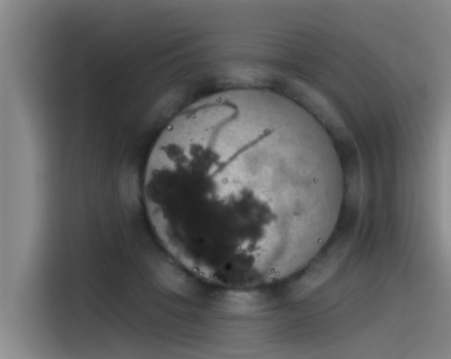 X0000115250457200911061222