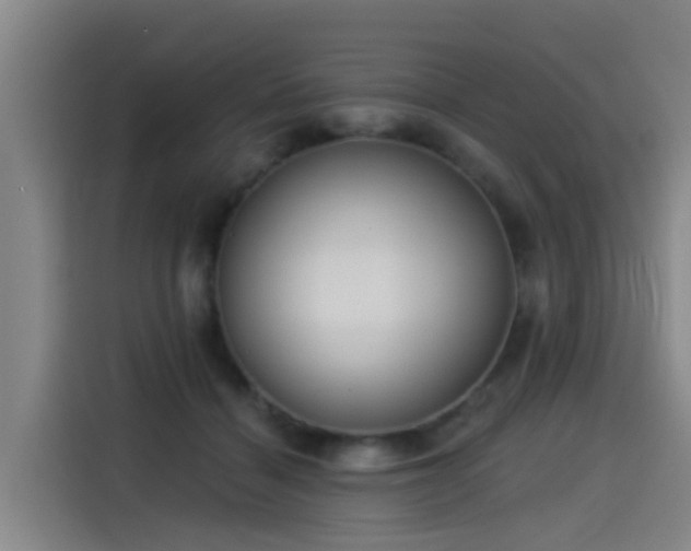 X0000115250460200911061222