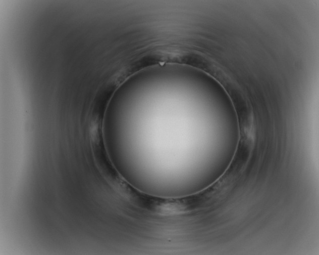 X0000115250468200911061222