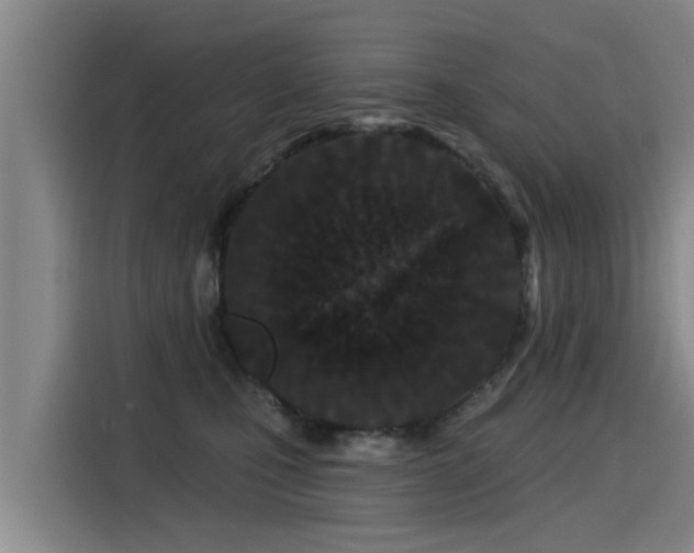 X0000115250471200911061222