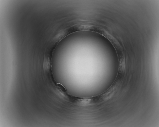 X0000115250474200911061222