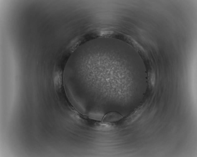 X0000115250475200911061222