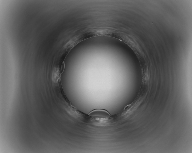 X0000115250478200911061222
