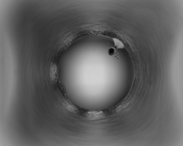 X0000115250480200911061222