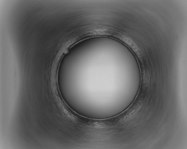 X0000115250481200911061221
