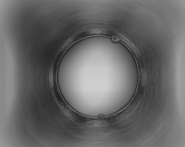 X0000115250482200911061221