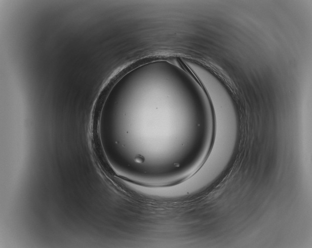 X0000115250484200911061221