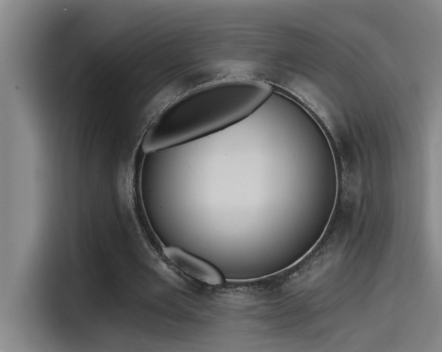 X0000115250485200911061221