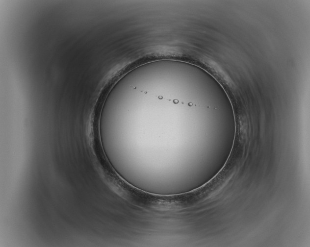 X0000115250487200911061221