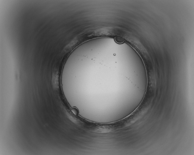 X0000115250489200911061221