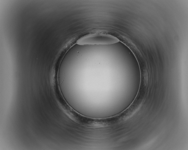X0000115250490200911061221