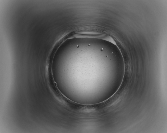 X0000115250491200911061221