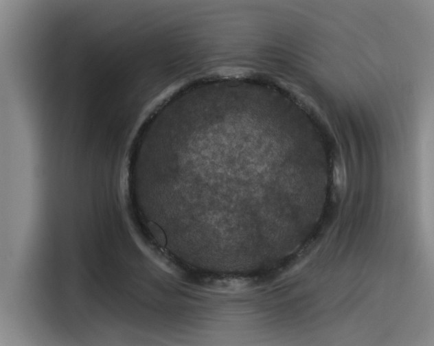 X0000115250492200911061221