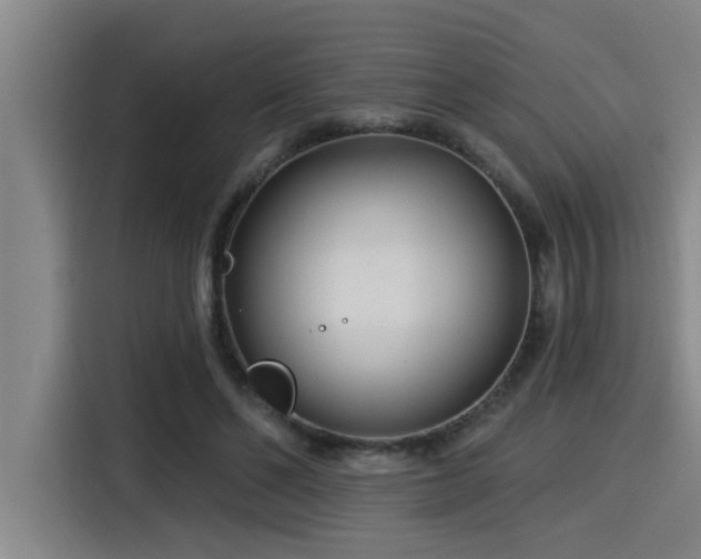 X0000115250494200911061221