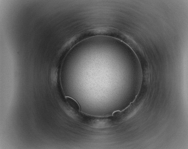 X0000115250495200911061221