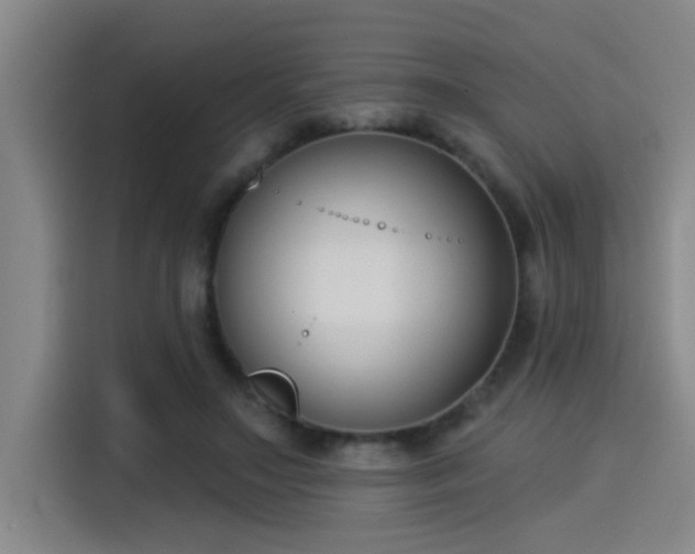X0000115250499200911061221