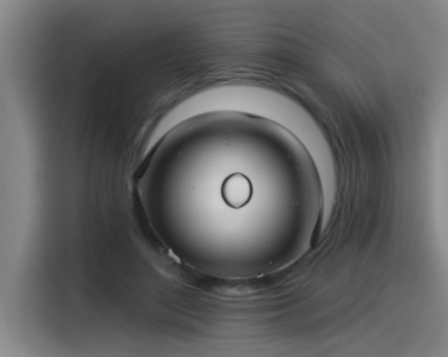 X0000115250500200911061221