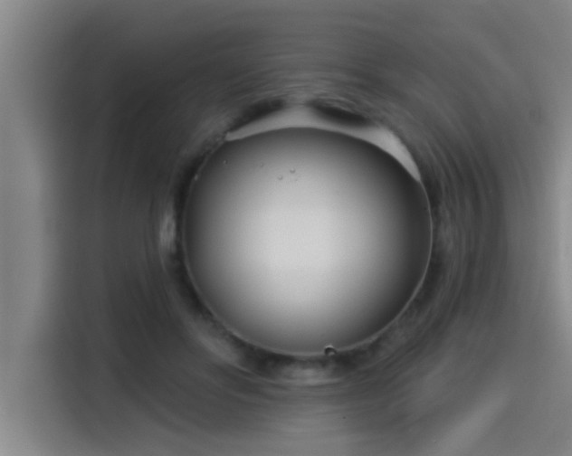X0000115250502200911061221