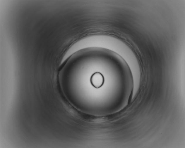 X0000115250505200911061221