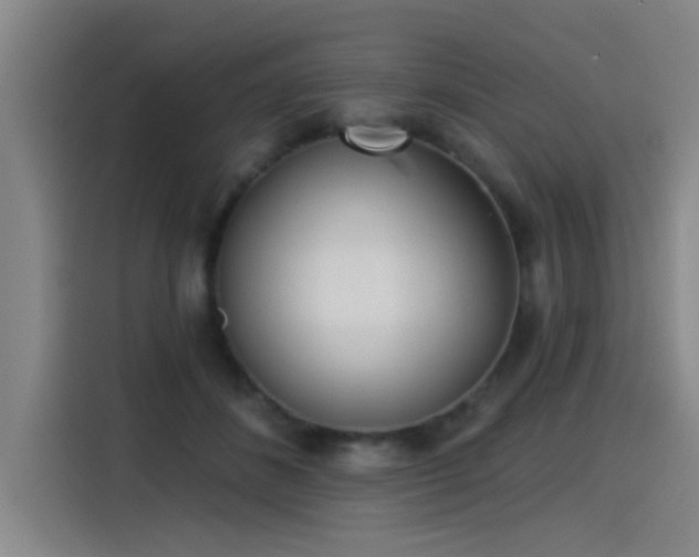 X0000115250508200911061221