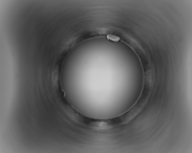X0000115250509200911061221