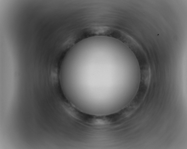 X0000115250510200911061221