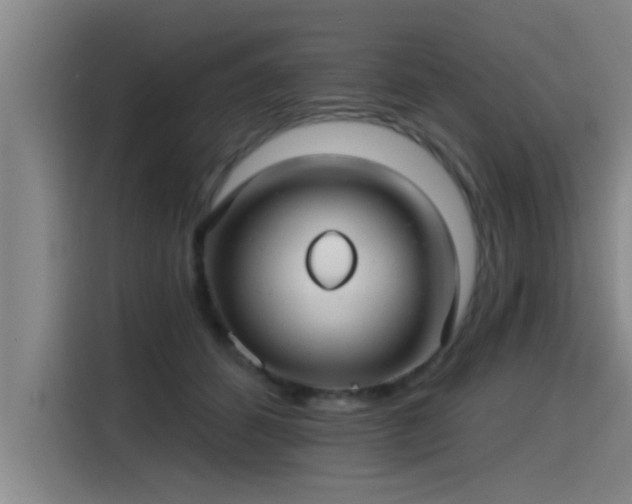 X0000115250512200911061221