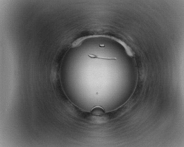 X0000115250515200911061221