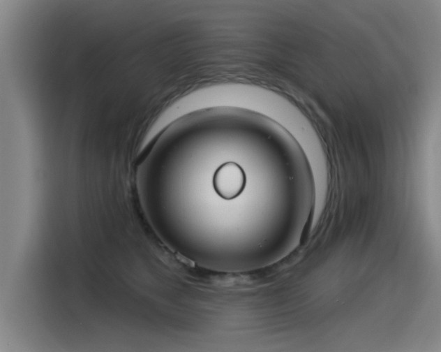 X0000115250517200911061221