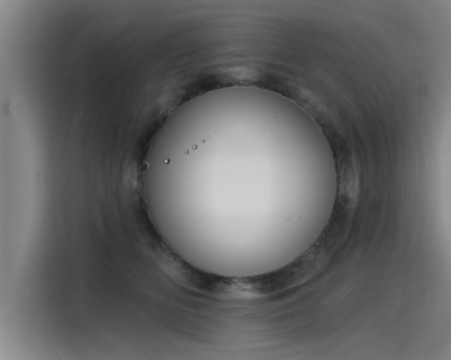 X0000115250518200911061221