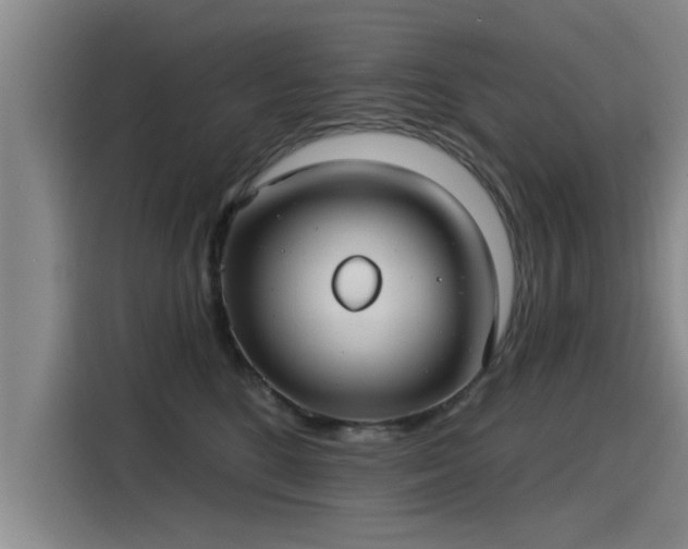 X0000115250520200911061221