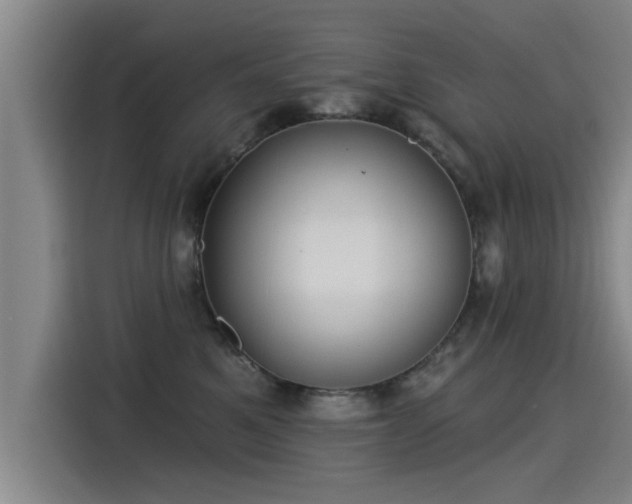 X0000115250521200911061221