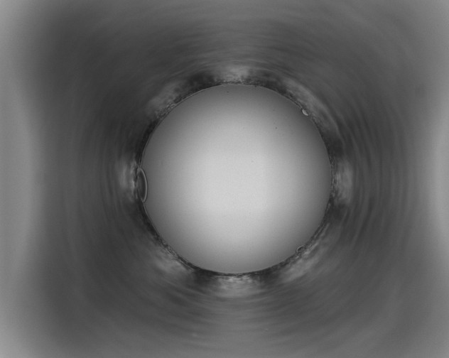 X0000115250525200911061221