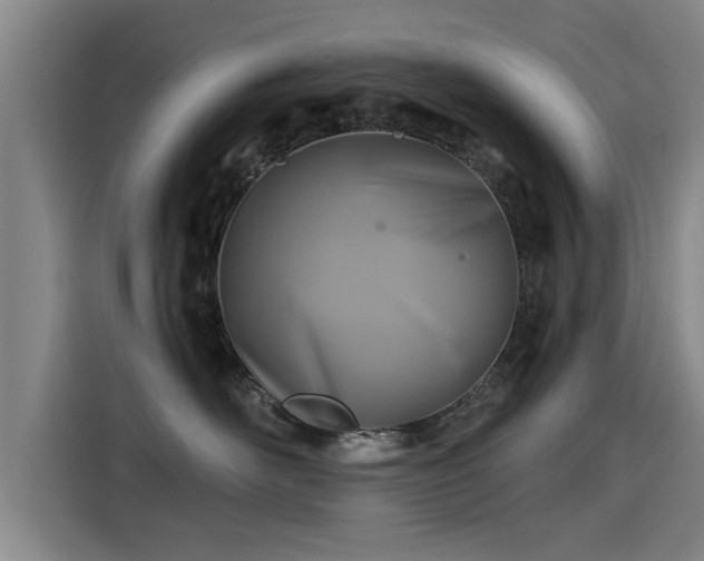 X0000115250526200911061221