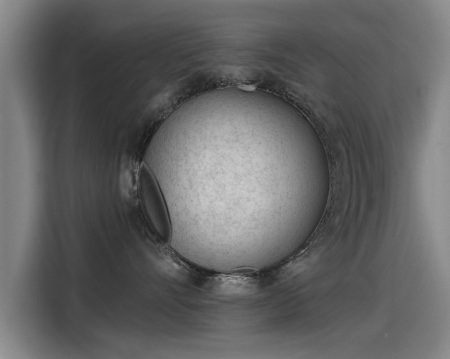 X0000115250528200911061221