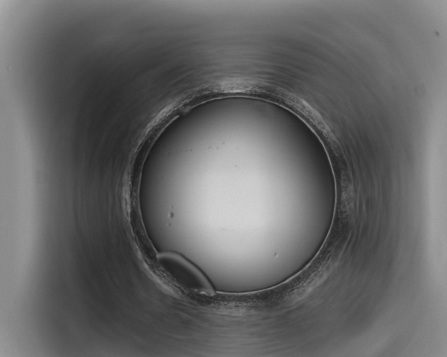 X0000115250530200911061220